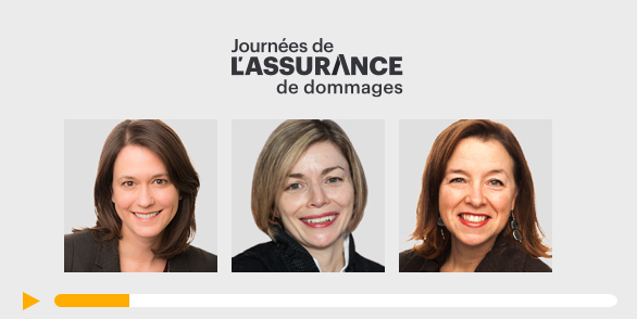 Journée de l'assurance de dommages image section 4